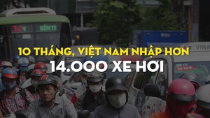 10 tháng, Việt Nam nhập hơn 14.000 xe hơi