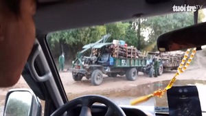 Gia Lai: Bắt quả tang hàng loạt xe chở gỗ lậu tại Phú Thiện