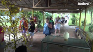 'Trường đua heo rừng' ở Khánh Hoà thu hút du khách