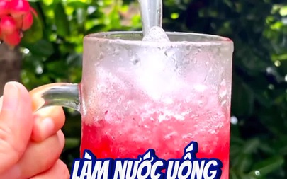 Cây si rô làm nước uống trên đảo Thiềng Liềng