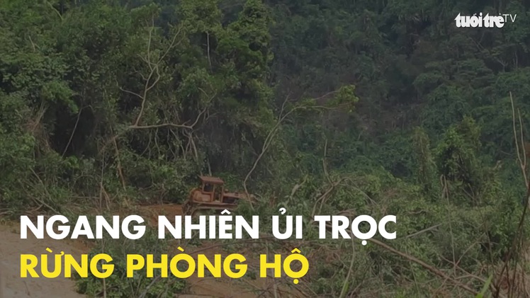 Ngang nhiên 'ủi trọc' rừng phòng hộ bằng xe ủi tại Quảng Trị